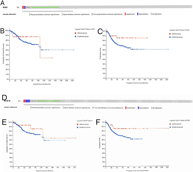 PMC11269704 – Fig3