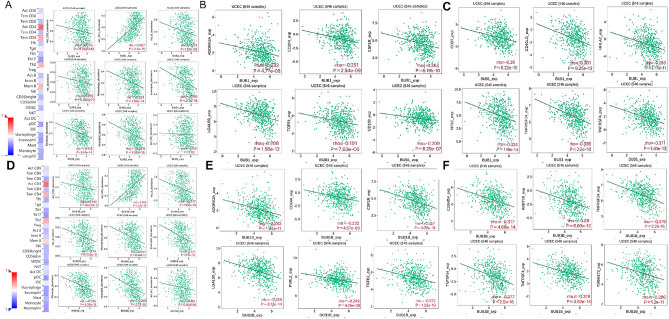 PMC11269704 – Fig4