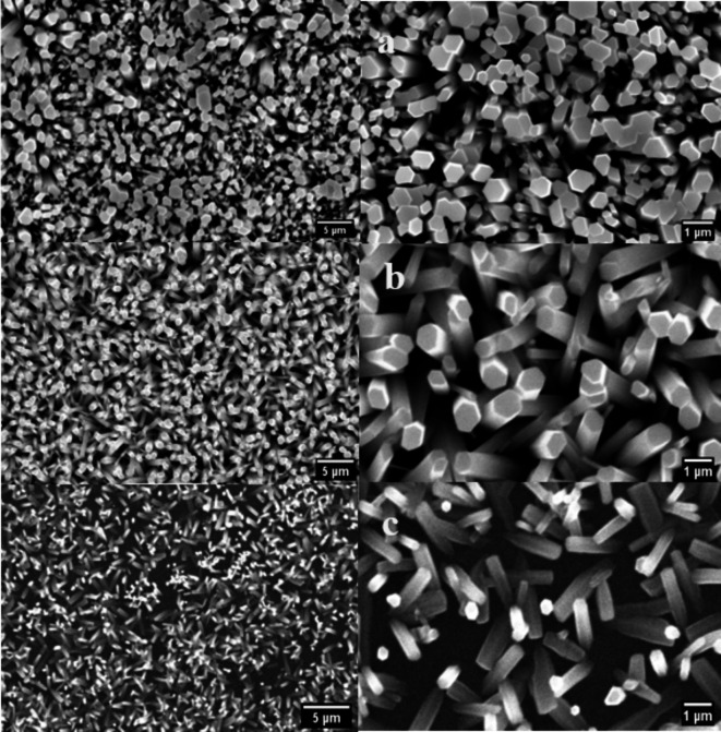 PMC11470147 – Fig3