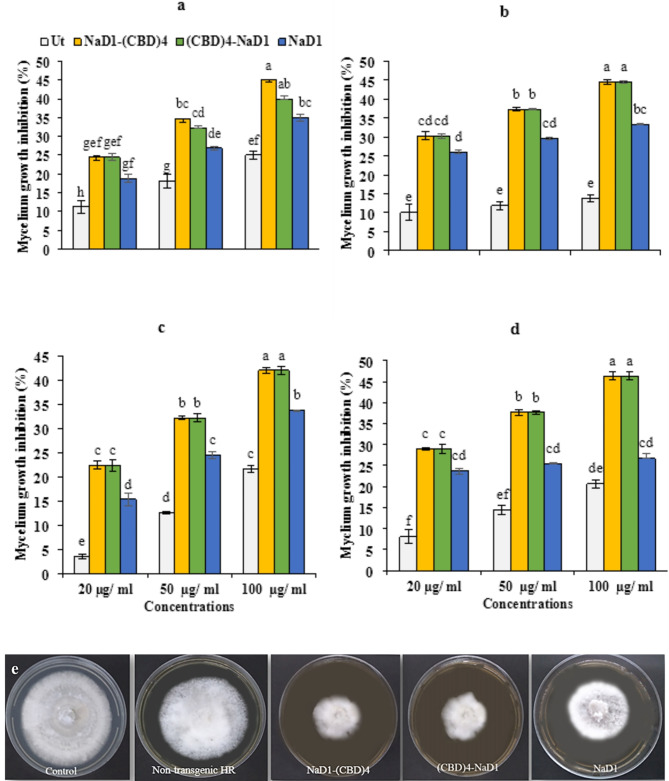 PMC11455875 – Fig3