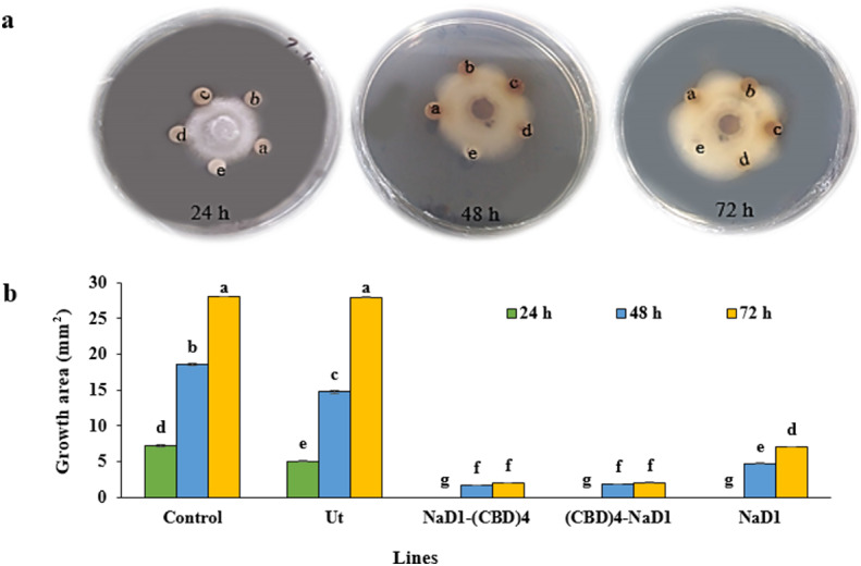 PMC11455875 – Fig4