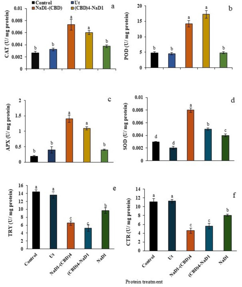 PMC11455875 – Fig6