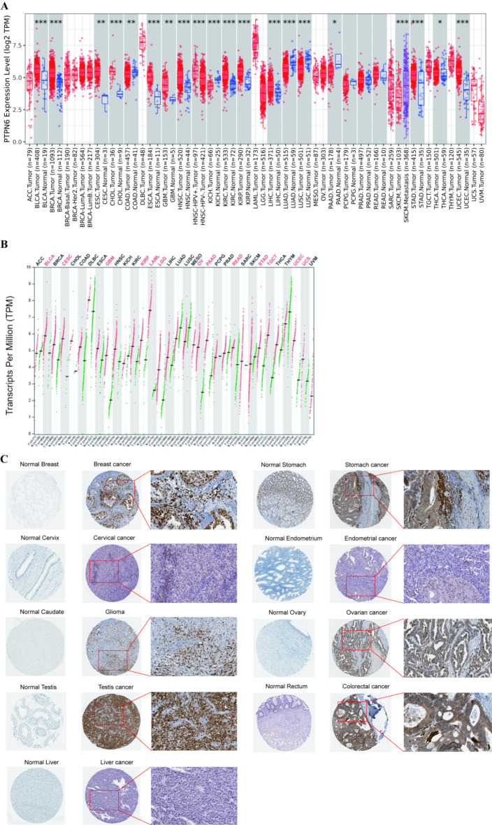 PMC11452508 – Fig1