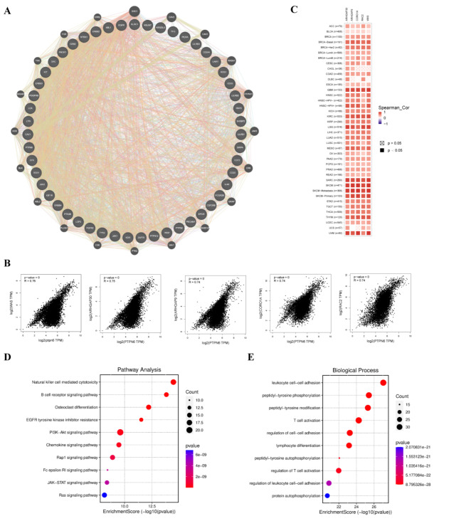 PMC11452508 – Fig5