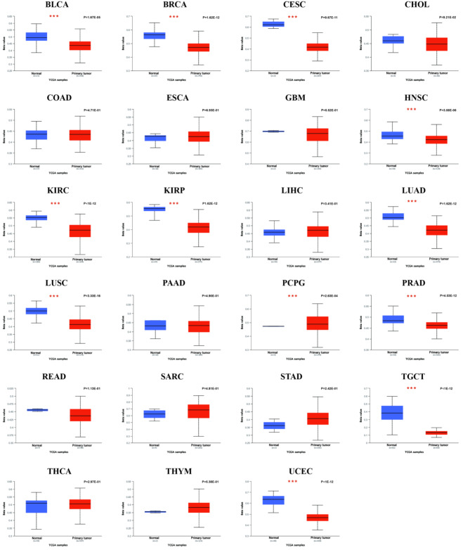 PMC11452508 – Fig9