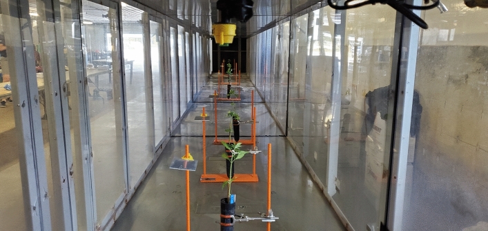 PMC11568321 – Fig1