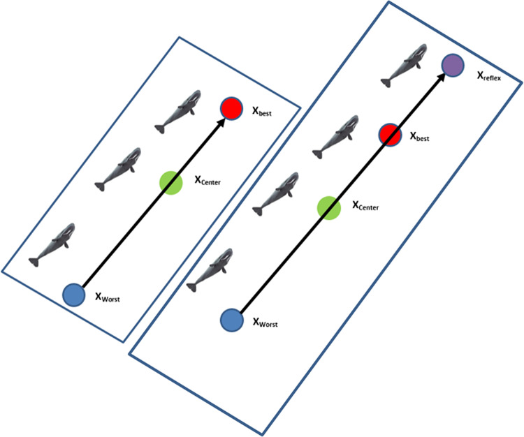 PMC11704293 – Fig3
