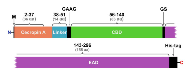 PMC11735859 – Fig2