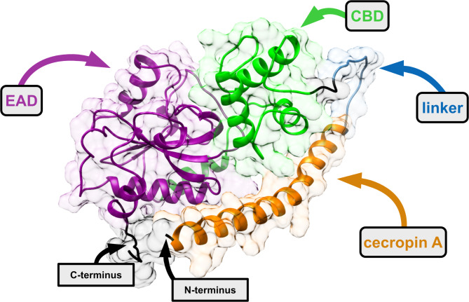 PMC11735859 – Fig4