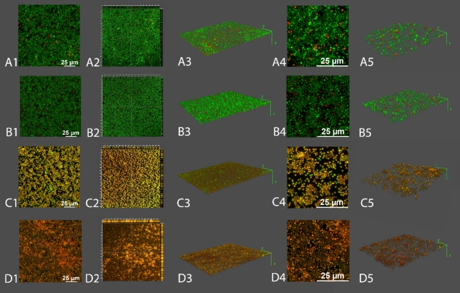 PMC11735859 – Fig9