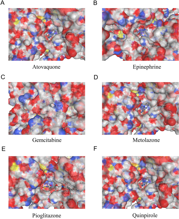 PMC12332088 – Fig11