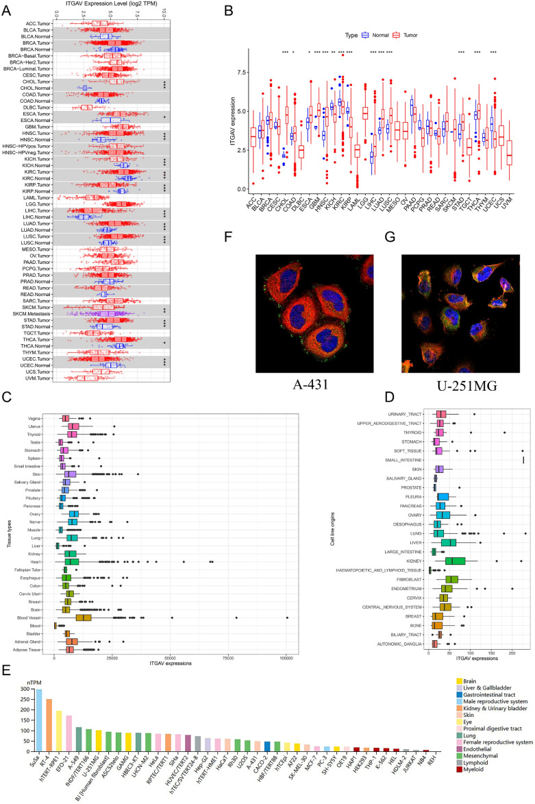 PMC12332088 – Fig1