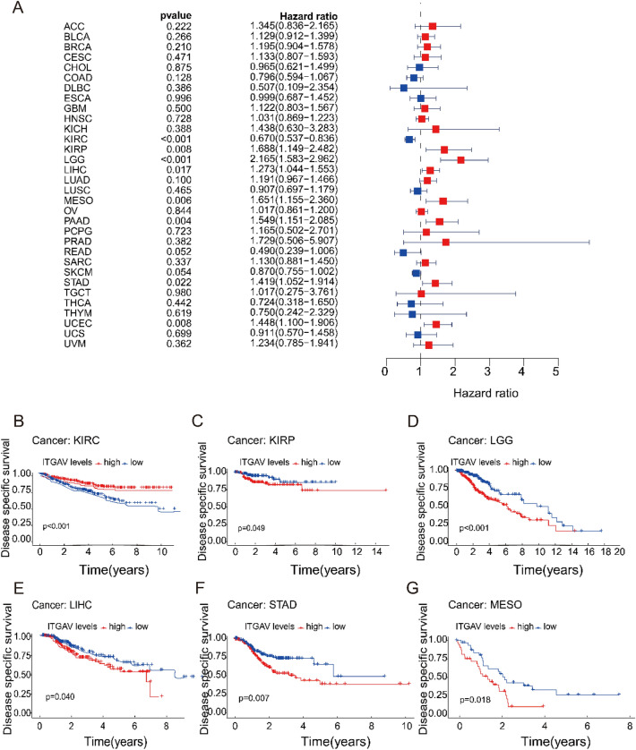 PMC12332088 – Fig6