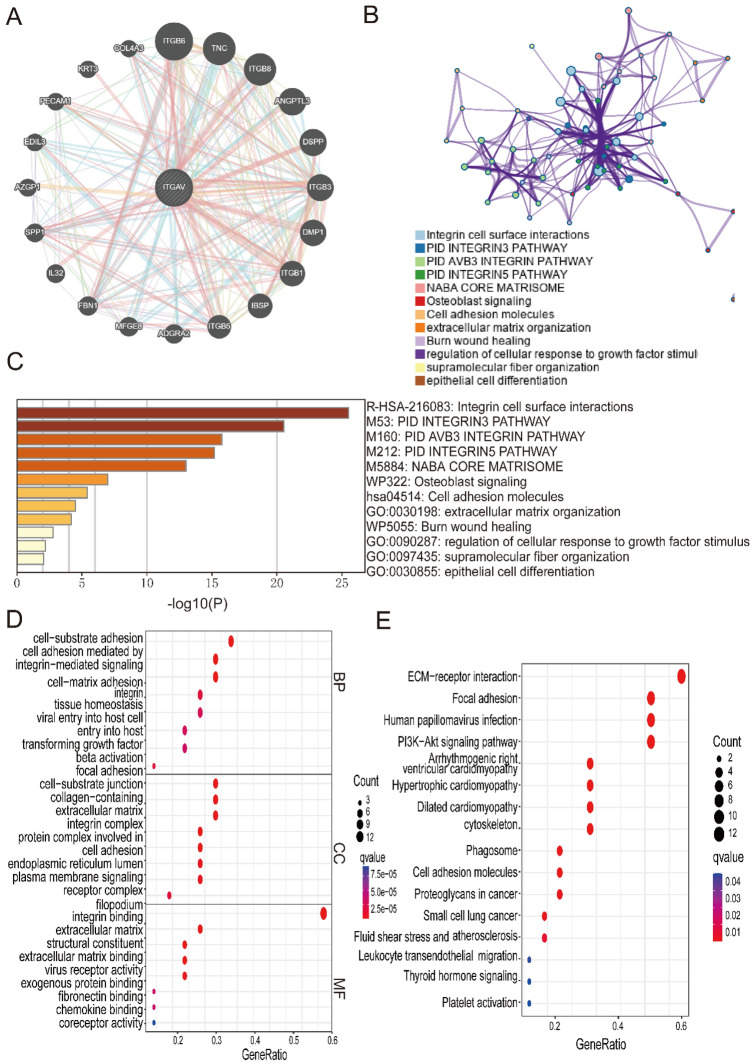 PMC12332088 – Fig8