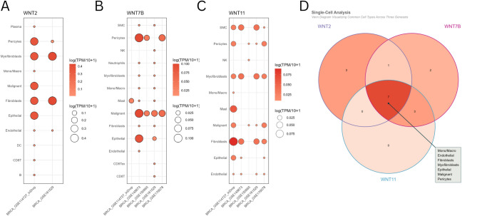 PMC12494856 – Fig10
