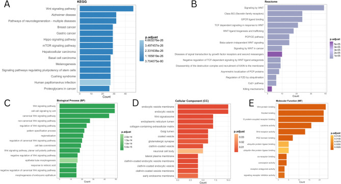 PMC12494856 – Fig12