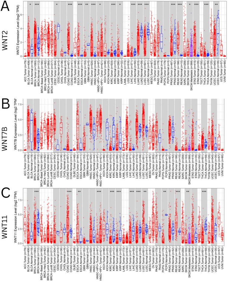 PMC12494856 – Fig3