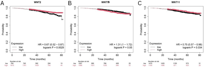 PMC12494856 – Fig4