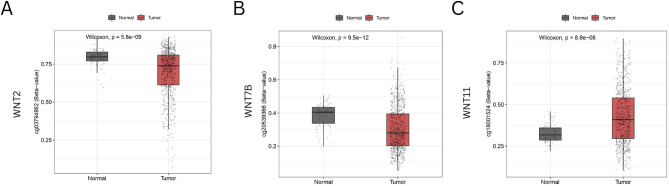 PMC12494856 – Fig7