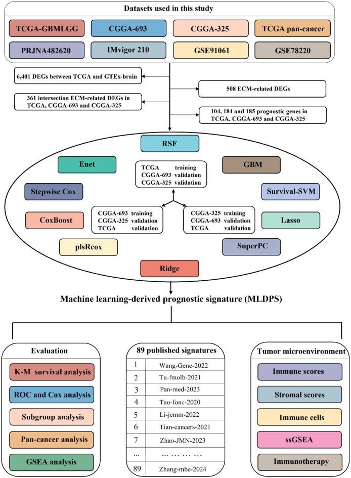 PMC12331974 – Fig1