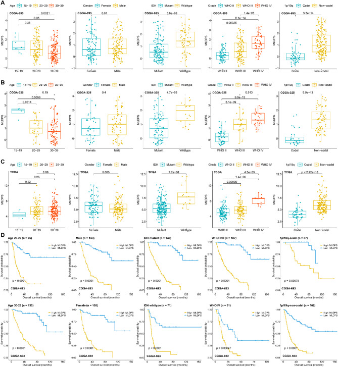 PMC12331974 – Fig4