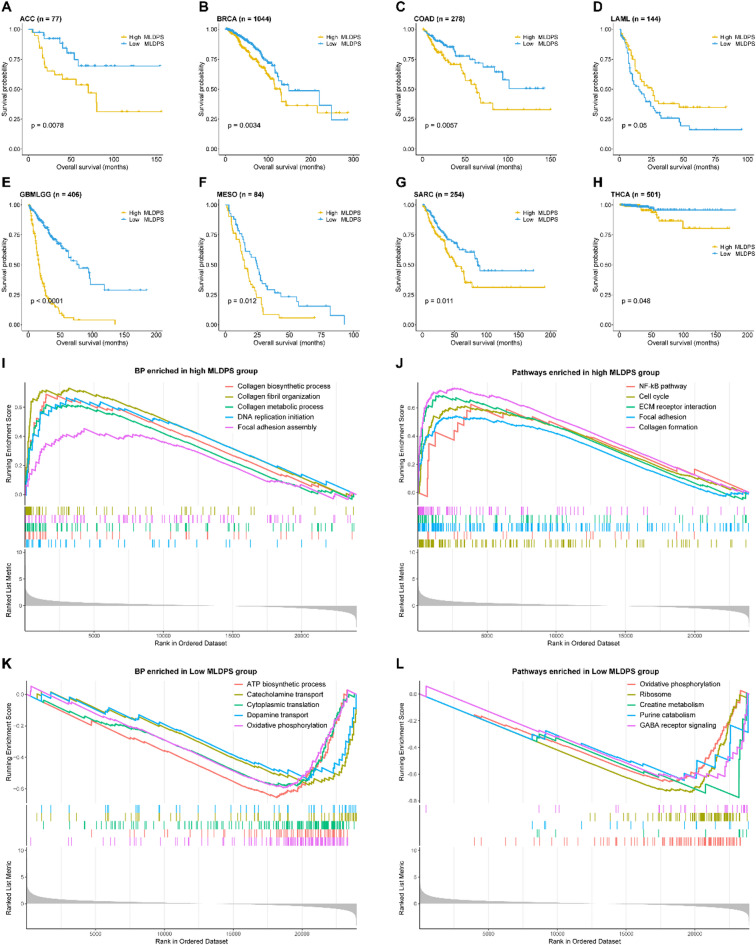 PMC12331974 – Fig6