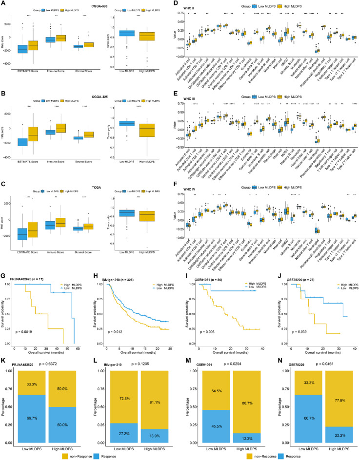 PMC12331974 – Fig7