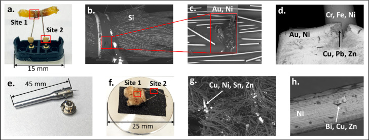 PMC12397267 – Fig3