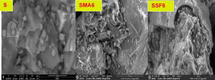 PMC12504521 – Fig16