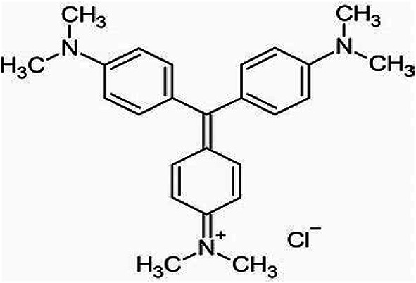 PMC12504521 – Fig1