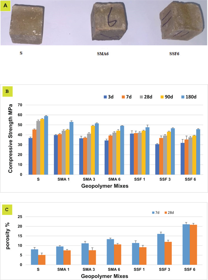 PMC12504521 – Fig4