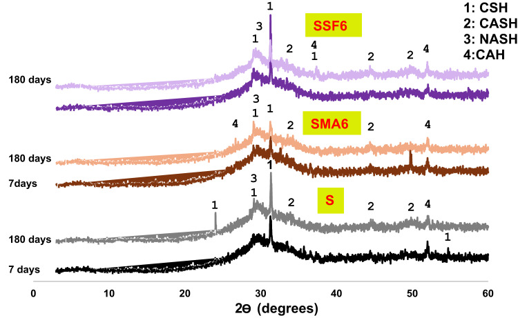 PMC12504521 – Fig6