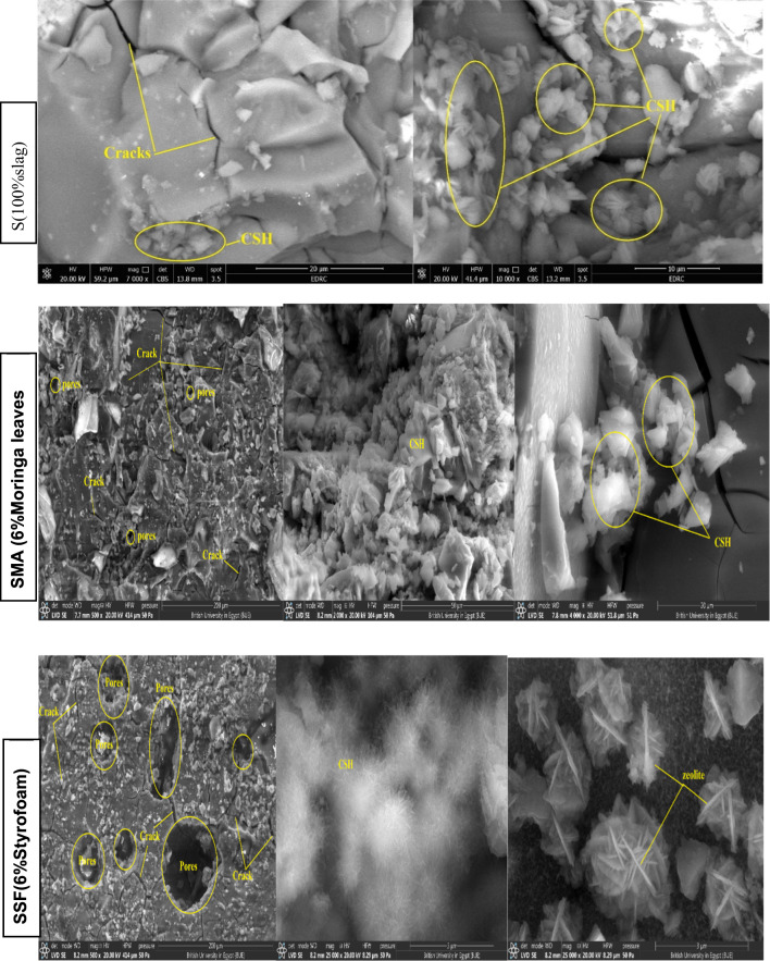 PMC12504521 – Fig7