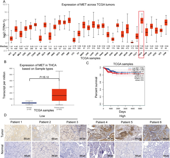 PMC12615610 – Fig1