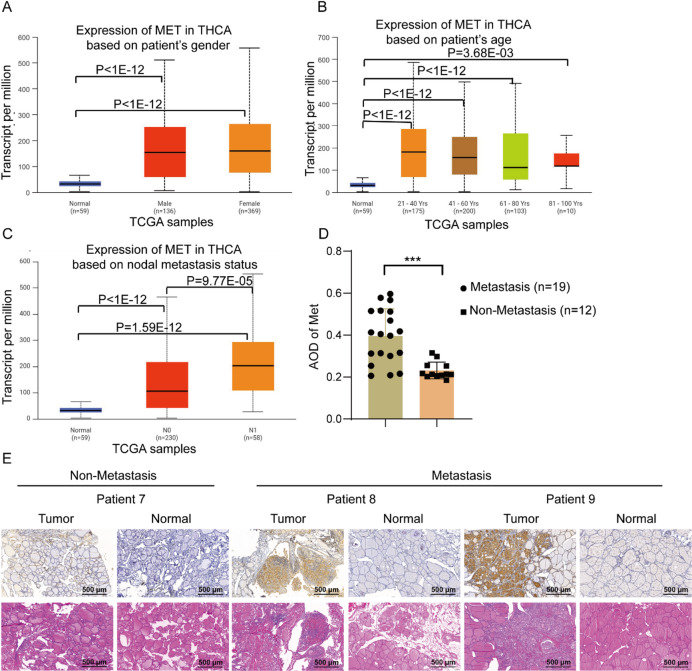 PMC12615610 – Fig2