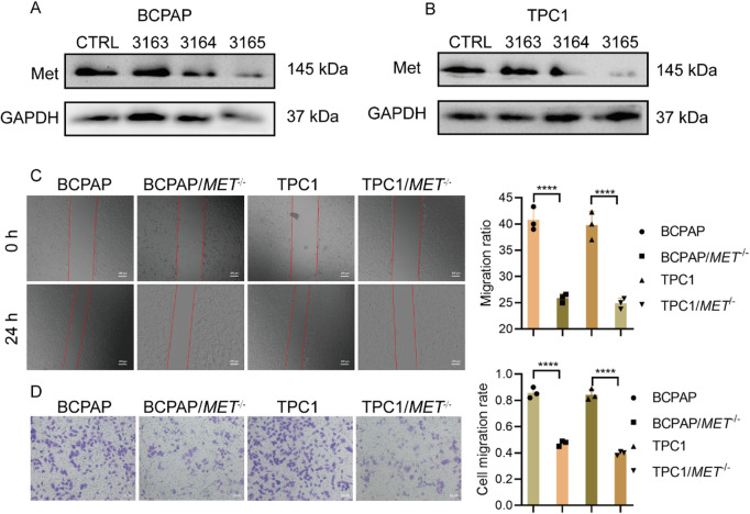 PMC12615610 – Fig3
