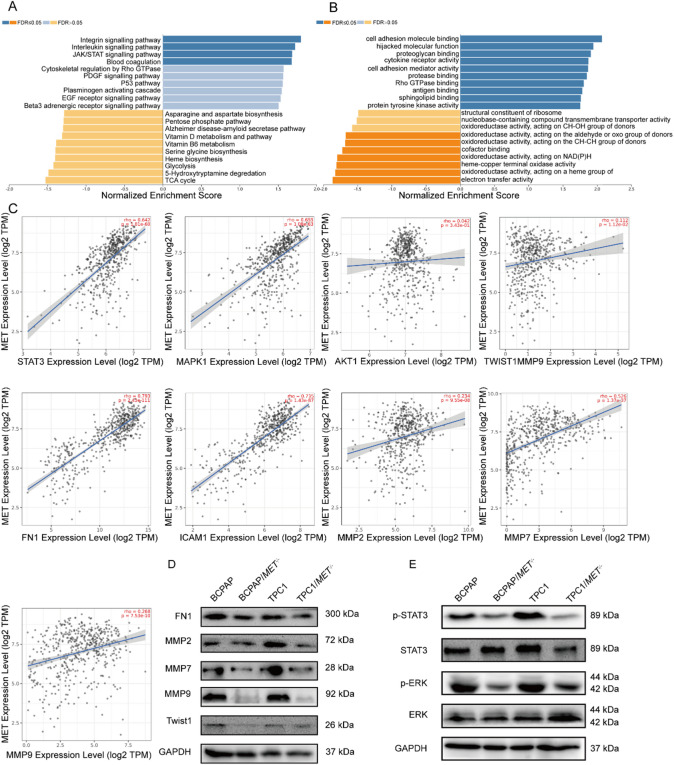 PMC12615610 – Fig4