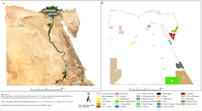 PMC12612076 – Fig1