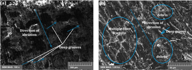 PMC12658126 – Fig7