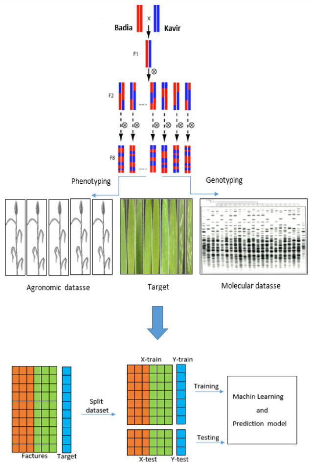 PMC12137941 – Fig10