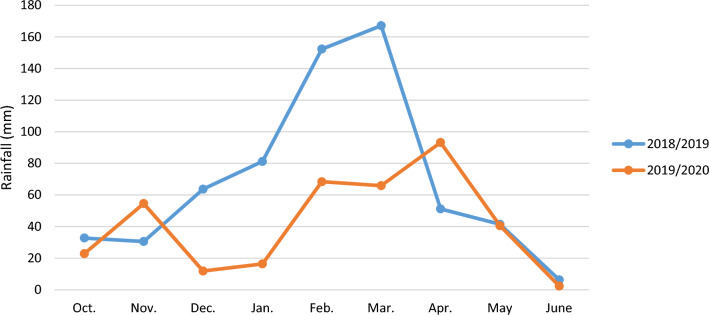 PMC12137941 – Fig11