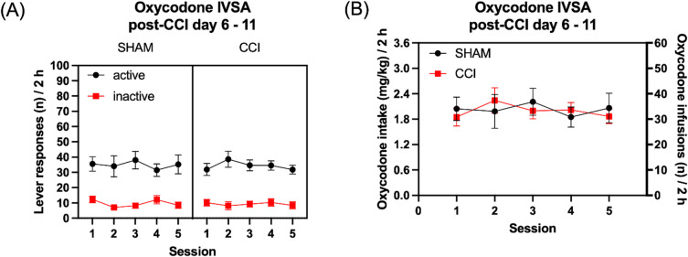 PMC12808320 – Fig4