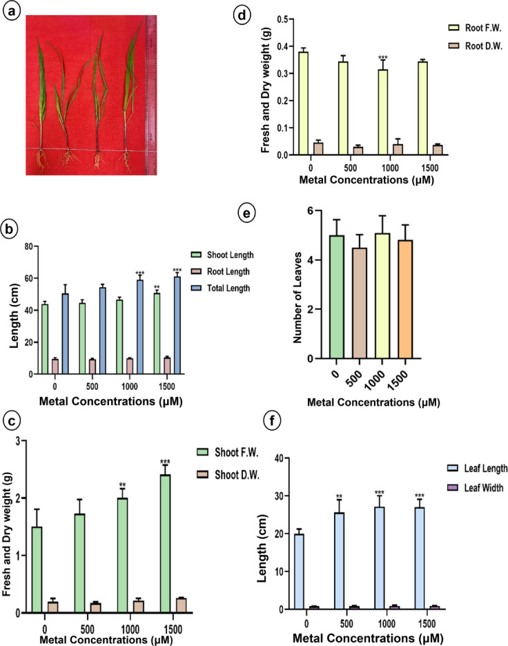 PMC12816059 – Fig2