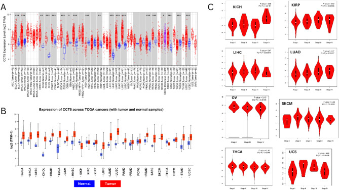 PMC12022336 – Fig2