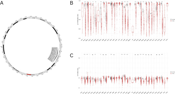 PMC12022336 – Fig4