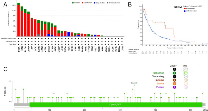 PMC12022336 – Fig5