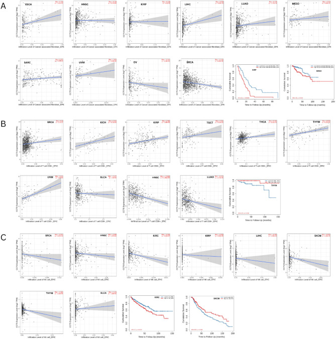 PMC12022336 – Fig6