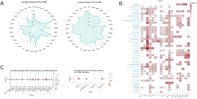 PMC12022336 – Fig7