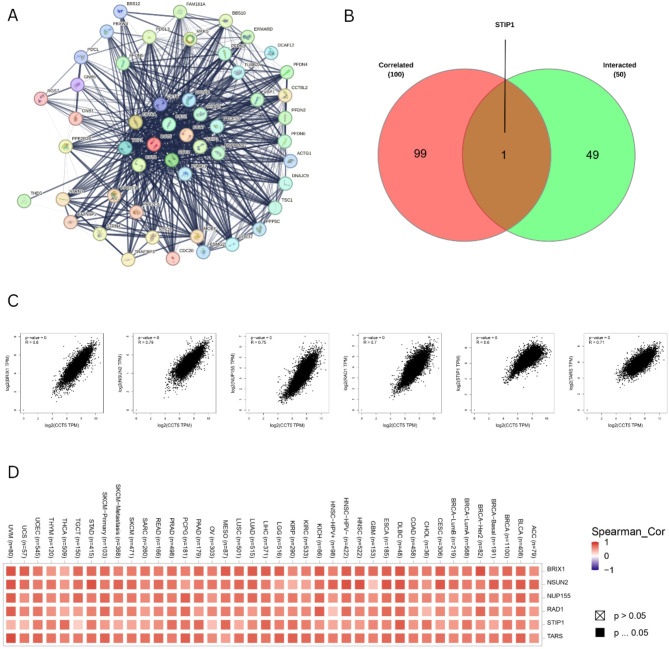PMC12022336 – Fig8