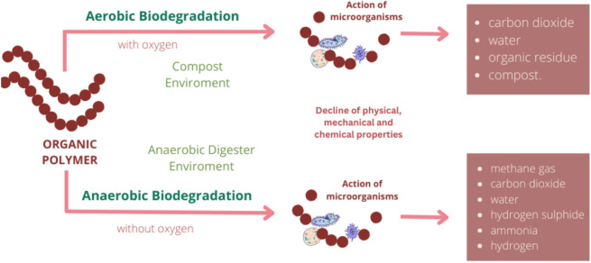 PMC11978975 – Fig1
